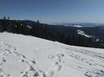 Żółty szlak na Rysiankę (Beskid Żywiecki)