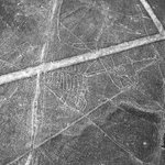 Ballena, czyli wieloryb